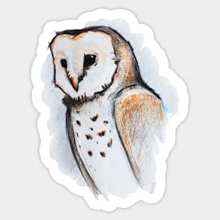 owl Sticker